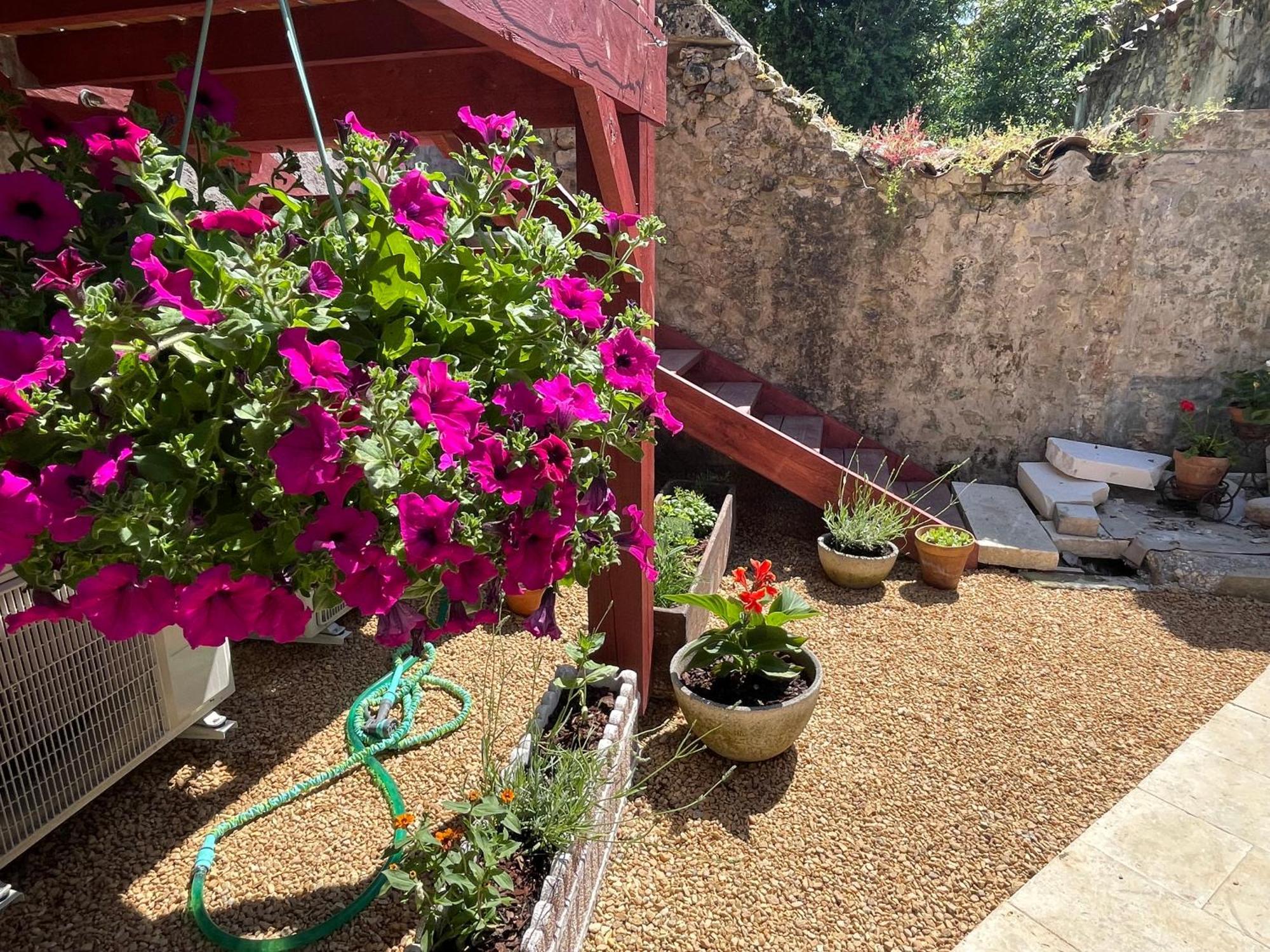 Au Pied Du Chateau Bourdeilles Bagian luar foto